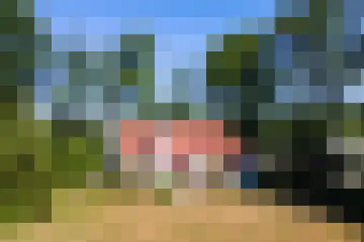 Nij Amerika 20 Nijemirdum thumbnail 42