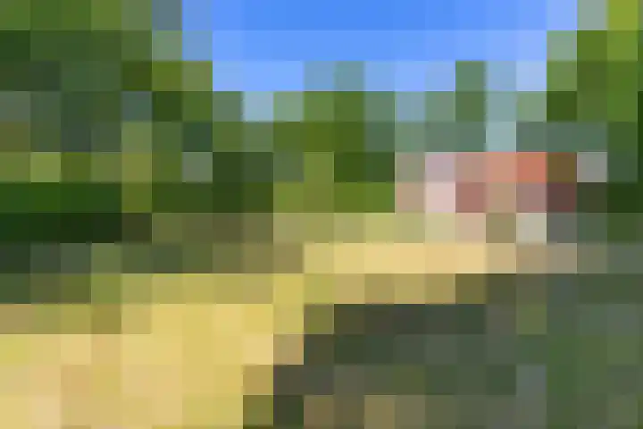 Nij Amerika 20 Nijemirdum thumbnail 43