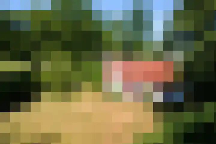 Nij Amerika 20 Nijemirdum thumbnail 44