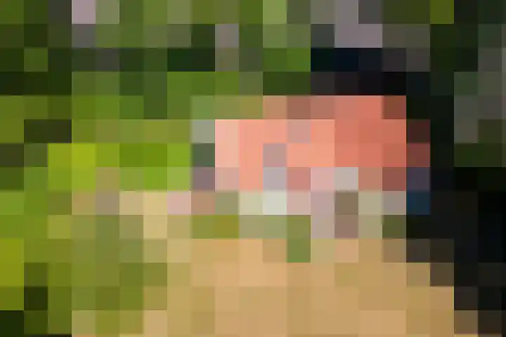 Nij Amerika 20 Nijemirdum thumbnail 45