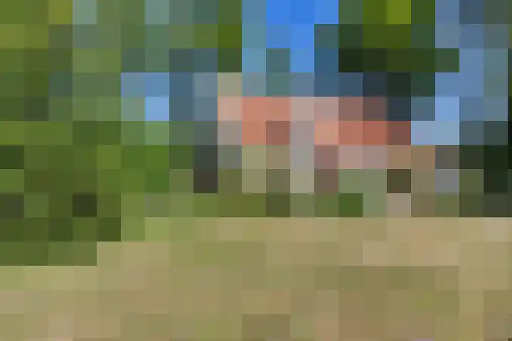 Nij Amerika 20 Nijemirdum thumbnail 46