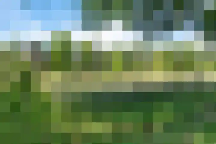 Nij Amerika 20 Nijemirdum thumbnail 48