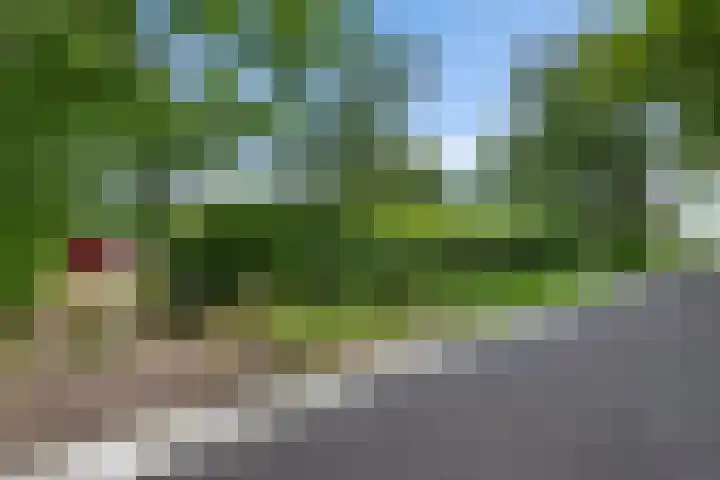 Nij Amerika 20 Nijemirdum thumbnail 49