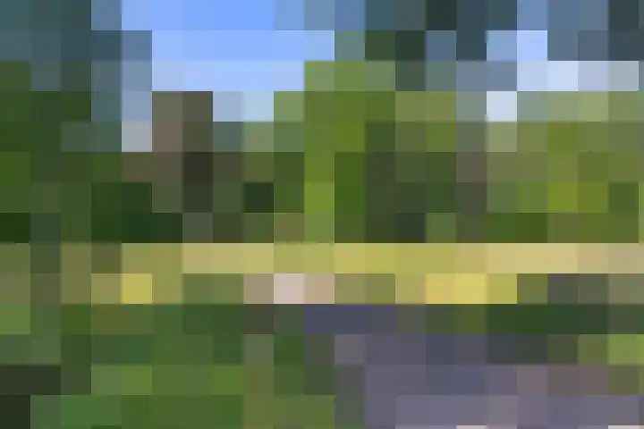 Nij Amerika 20 Nijemirdum thumbnail 51