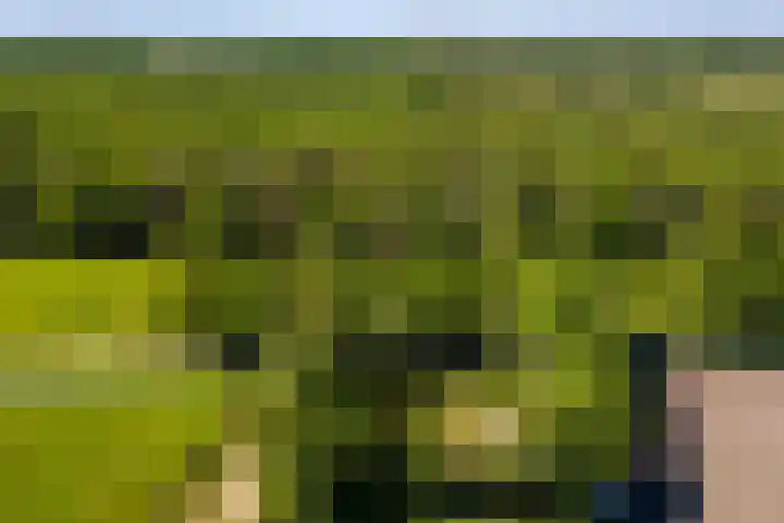 Nij Amerika 20 Nijemirdum thumbnail 52