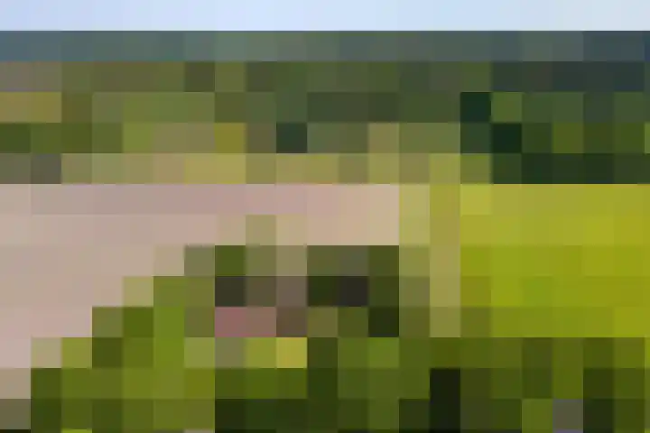 Nij Amerika 20 Nijemirdum thumbnail 54