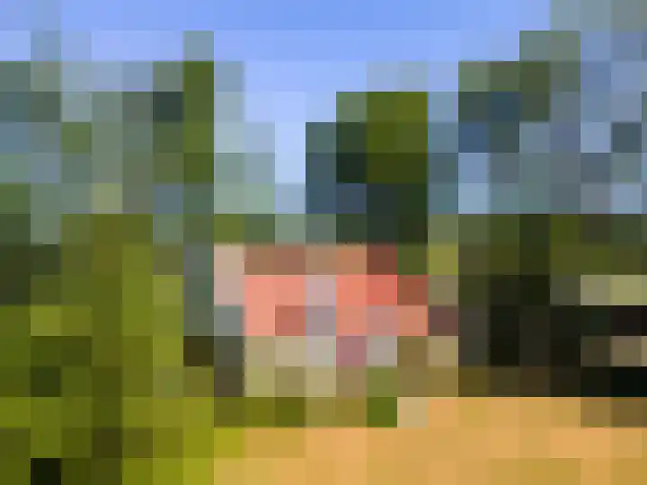 Nij Amerika 20 Nijemirdum thumbnail 59