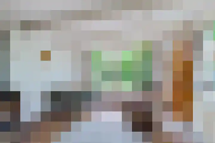 Nij Amerika 20 Nijemirdum thumbnail 6