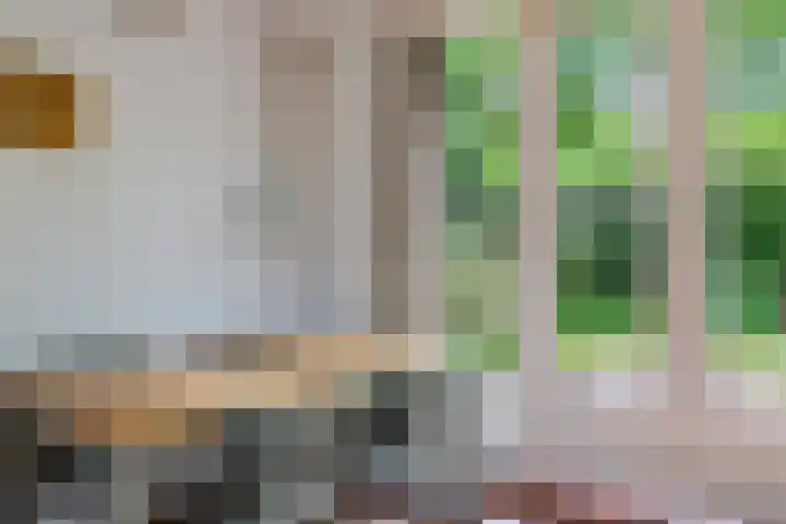 Nij Amerika 20 Nijemirdum thumbnail 7