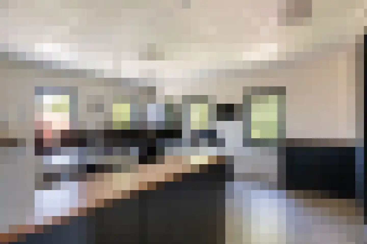Nij Toerenburg 15 St.-Annaparochie thumbnail 101