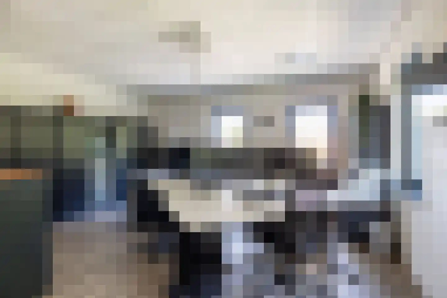 Nij Toerenburg 15 St.-Annaparochie thumbnail 102