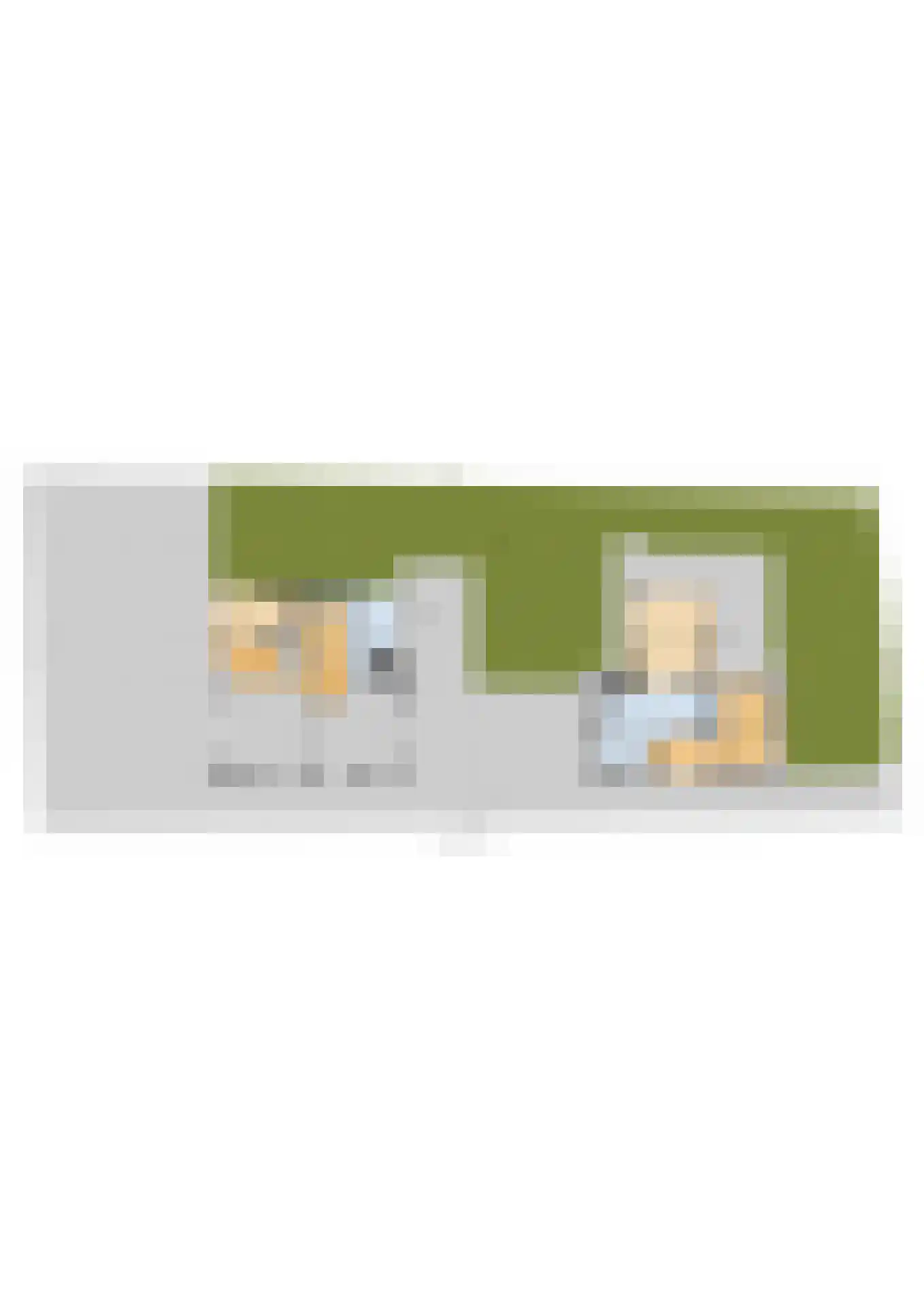 Nij Toerenburg 15 St.-Annaparochie thumbnail 114