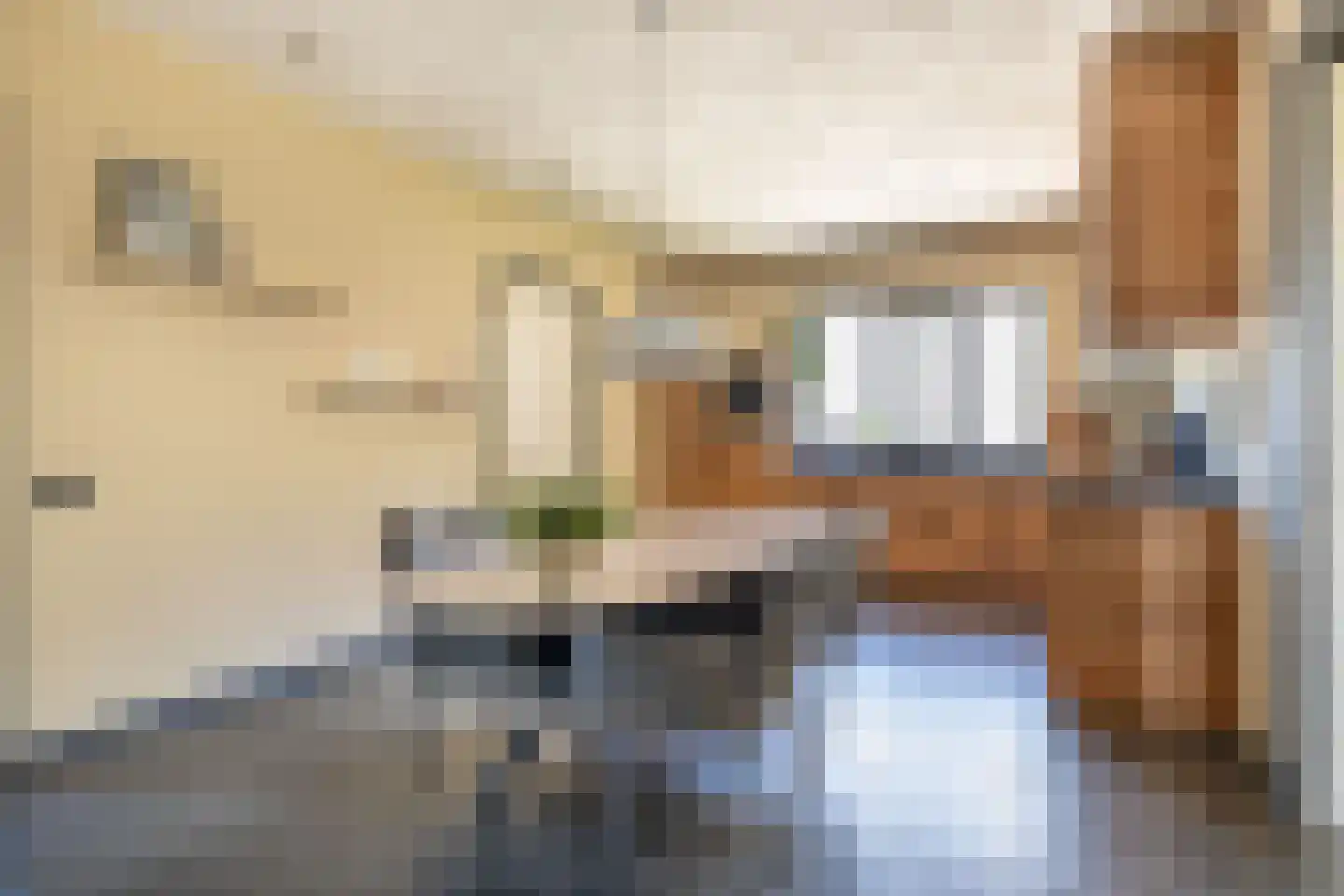 Nij Toerenburg 15 St.-Annaparochie thumbnail 22