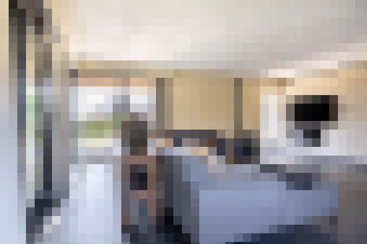 Nij Toerenburg 15 St.-Annaparochie thumbnail 32
