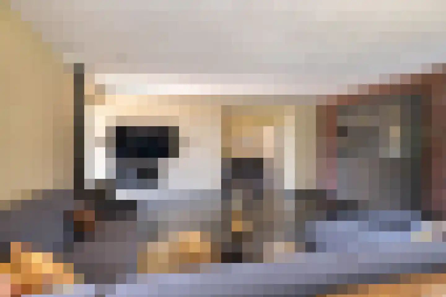 Nij Toerenburg 15 St.-Annaparochie thumbnail 33