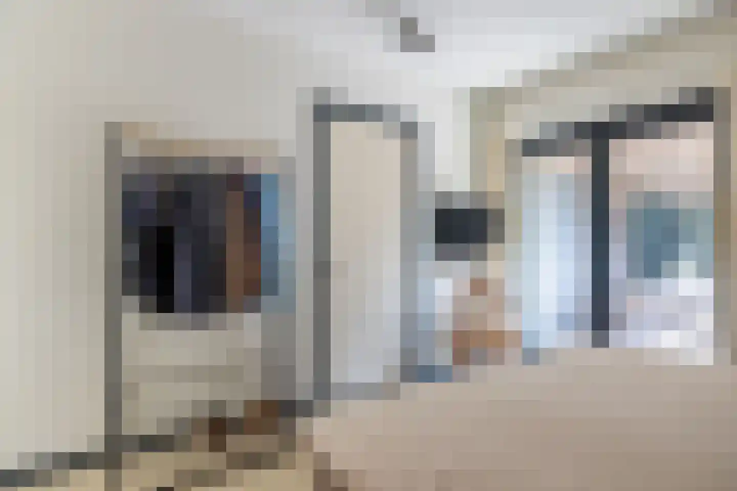 Nij Toerenburg 15 St.-Annaparochie thumbnail 40
