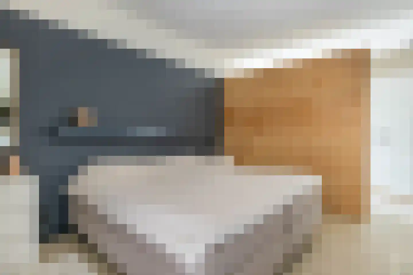 Nij Toerenburg 15 St.-Annaparochie thumbnail 41