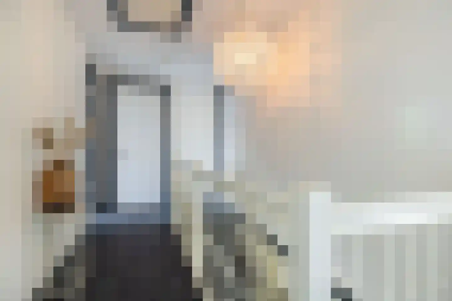 Nij Toerenburg 15 St.-Annaparochie thumbnail 46