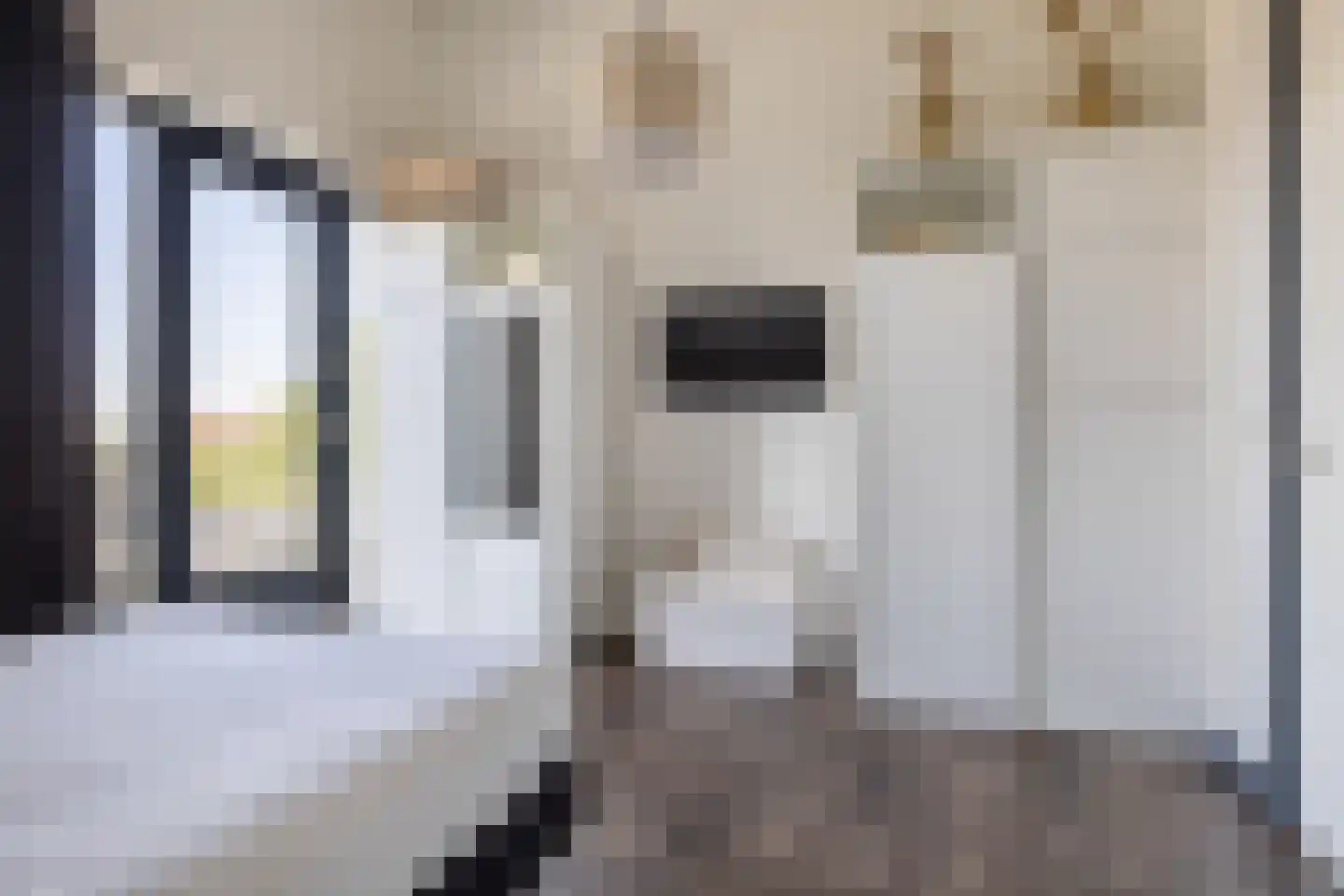 Nij Toerenburg 15 St.-Annaparochie thumbnail 49