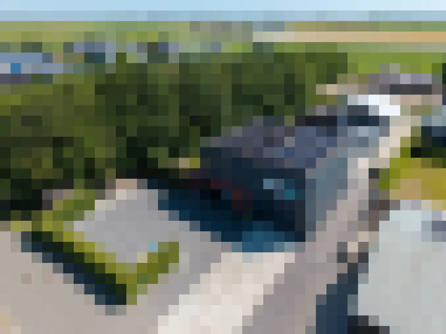 Nij Toerenburg 15 St.-Annaparochie thumbnail 5