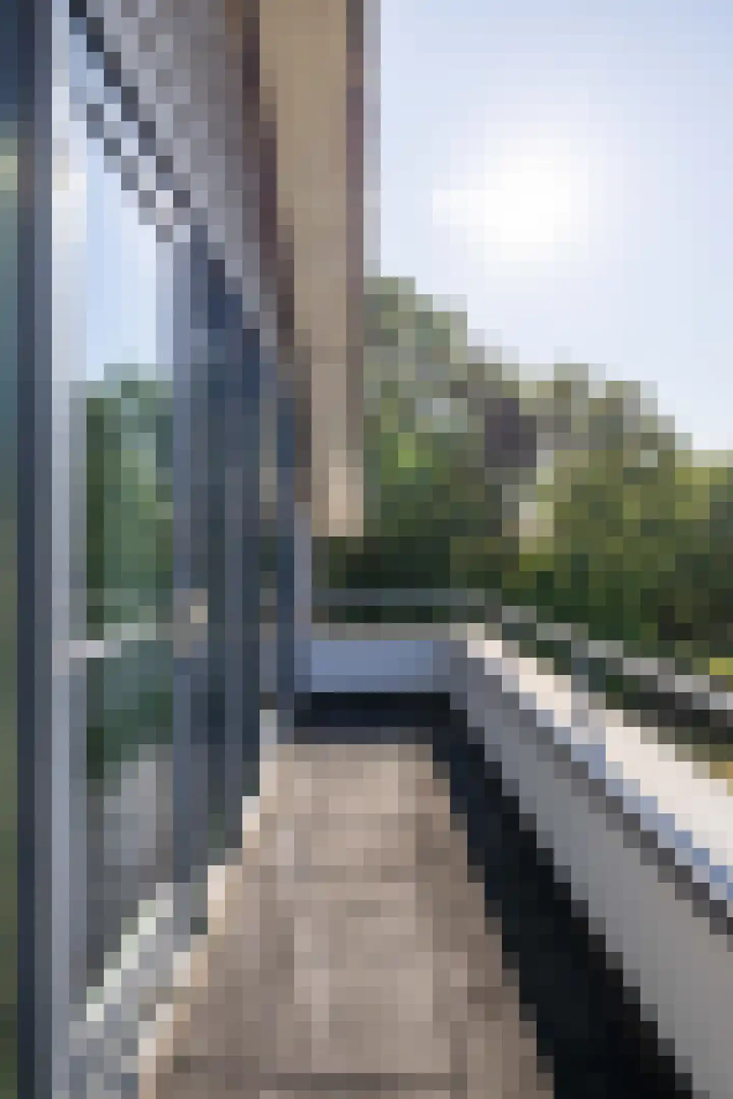Nij Toerenburg 15 St.-Annaparochie thumbnail 50