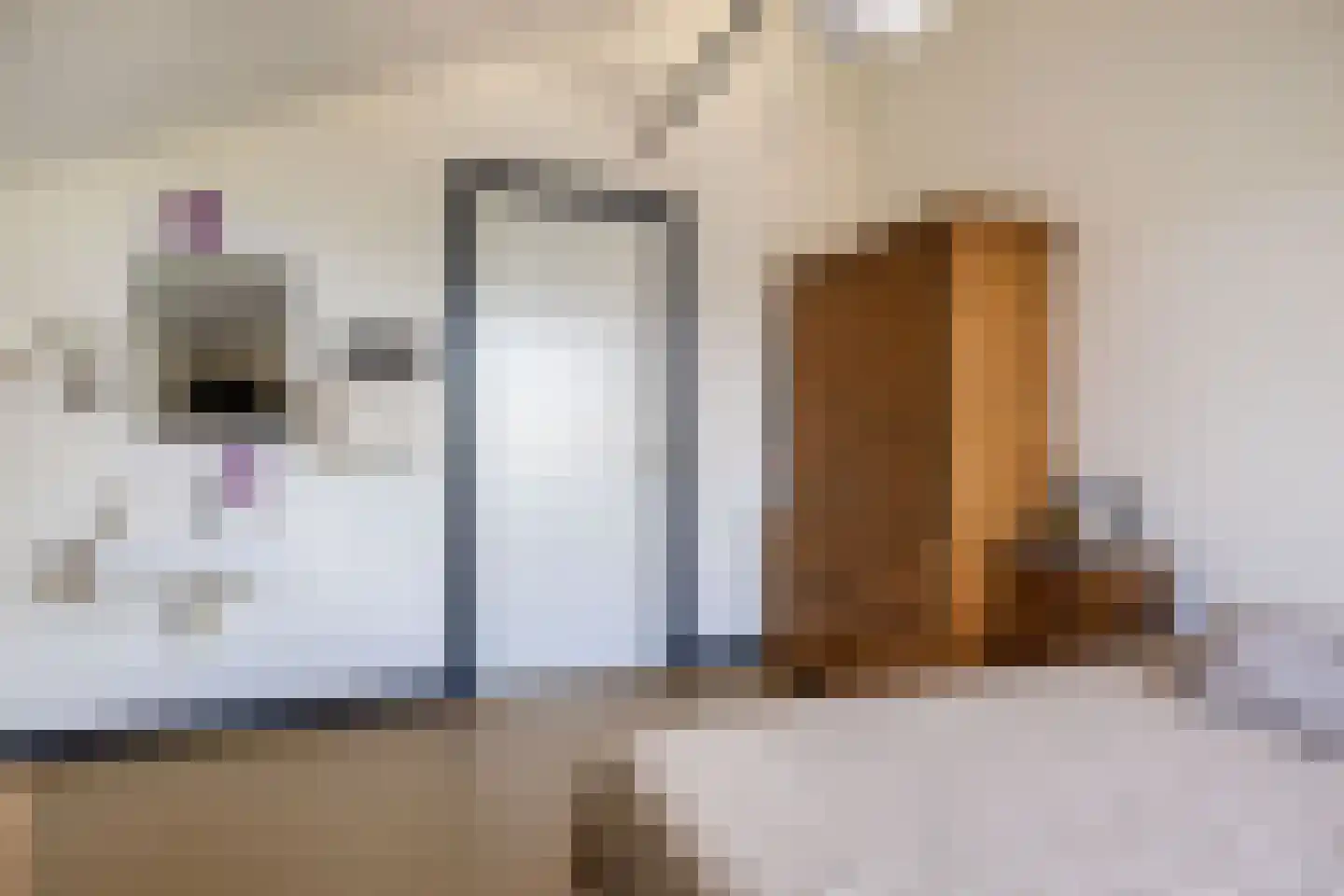 Nij Toerenburg 15 St.-Annaparochie thumbnail 52