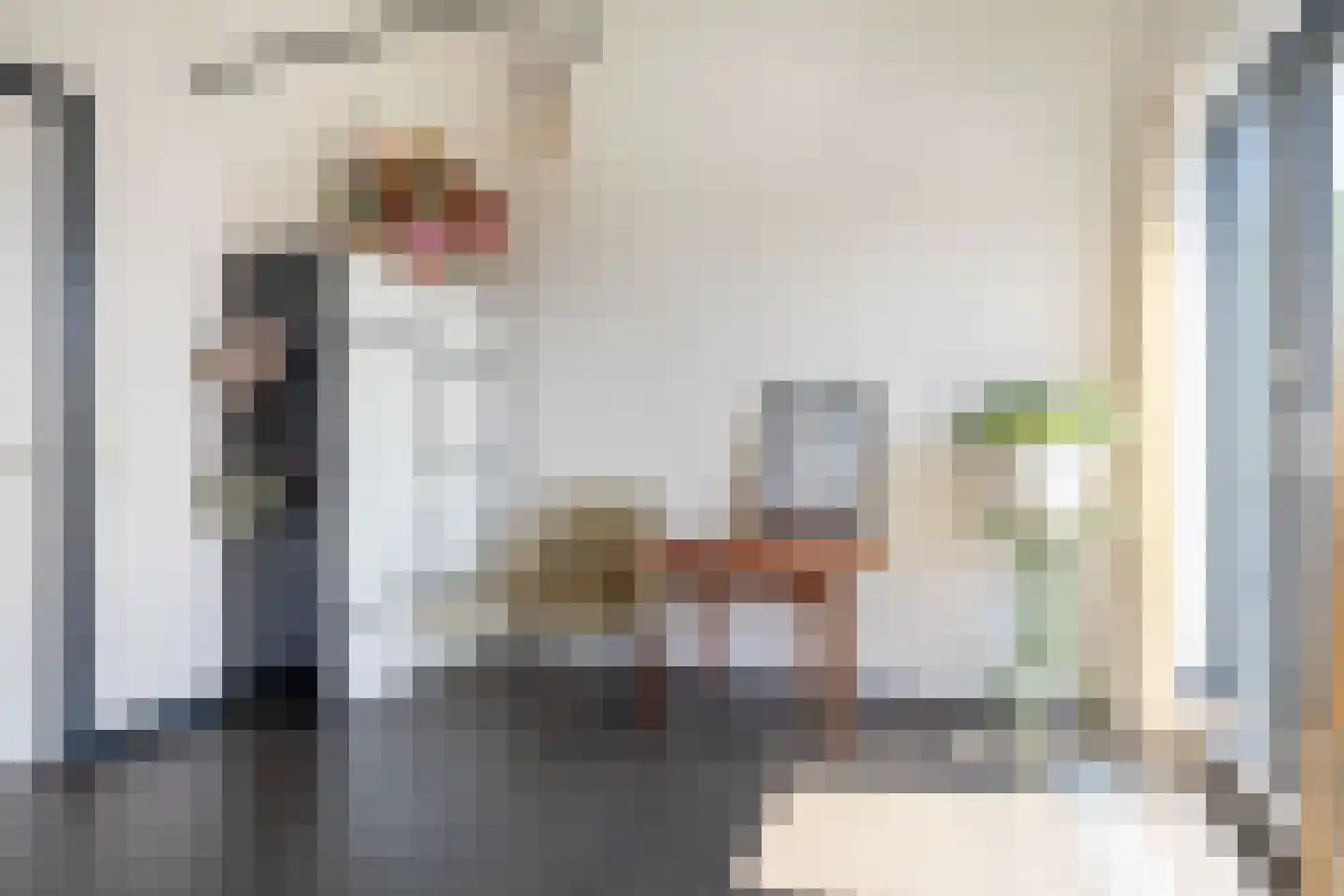 Nij Toerenburg 15 St.-Annaparochie thumbnail 56