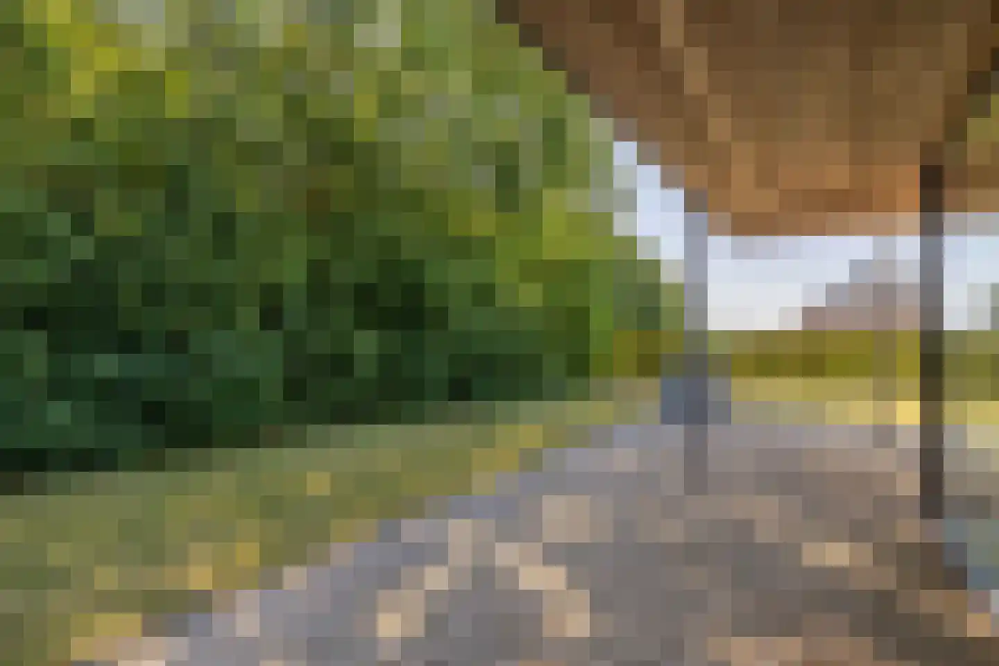 Nij Toerenburg 15 St.-Annaparochie thumbnail 59