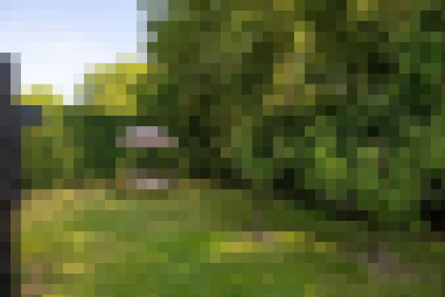 Nij Toerenburg 15 St.-Annaparochie thumbnail 77