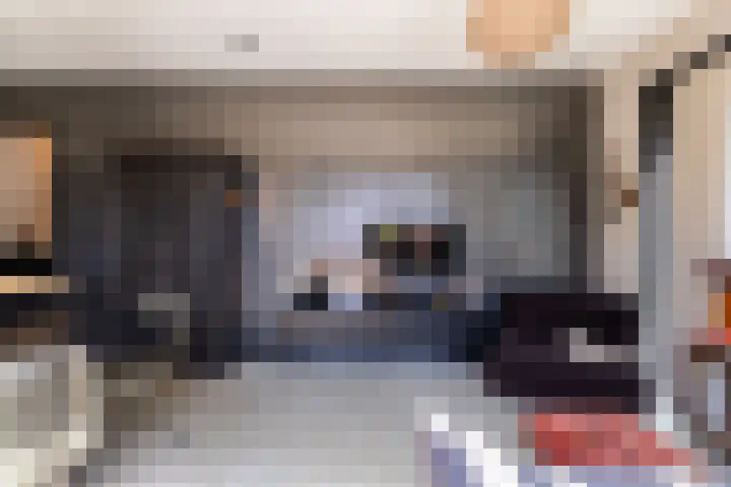 Nij Toerenburg 15 St.-Annaparochie thumbnail 79
