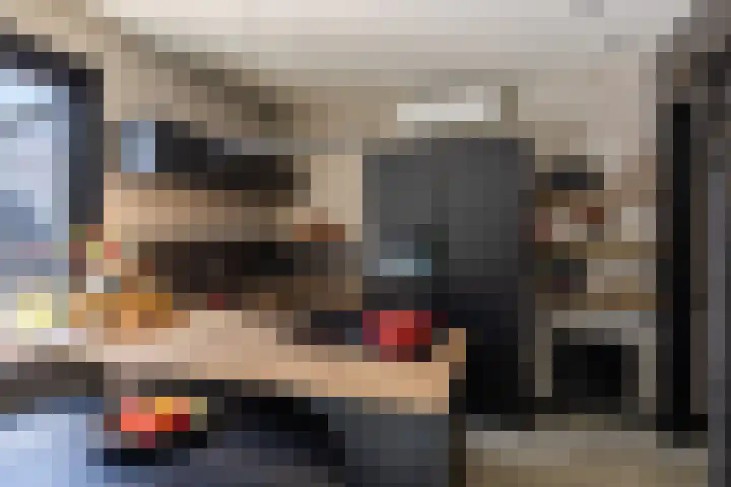 Nij Toerenburg 15 St.-Annaparochie thumbnail 82