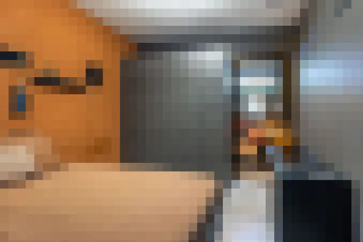 Nij Toerenburg 15 St.-Annaparochie thumbnail 85