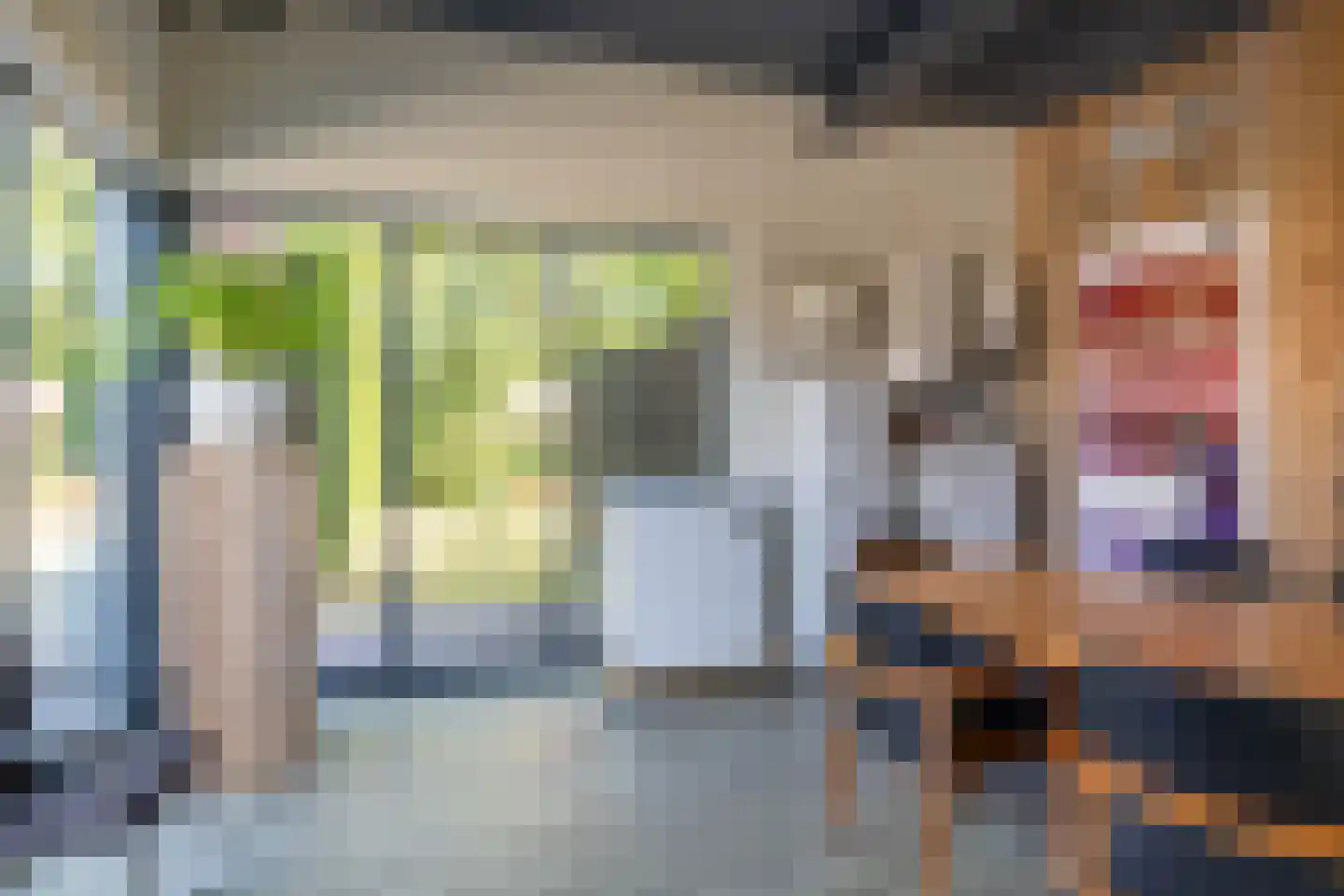 Nij Toerenburg 15 St.-Annaparochie thumbnail 95