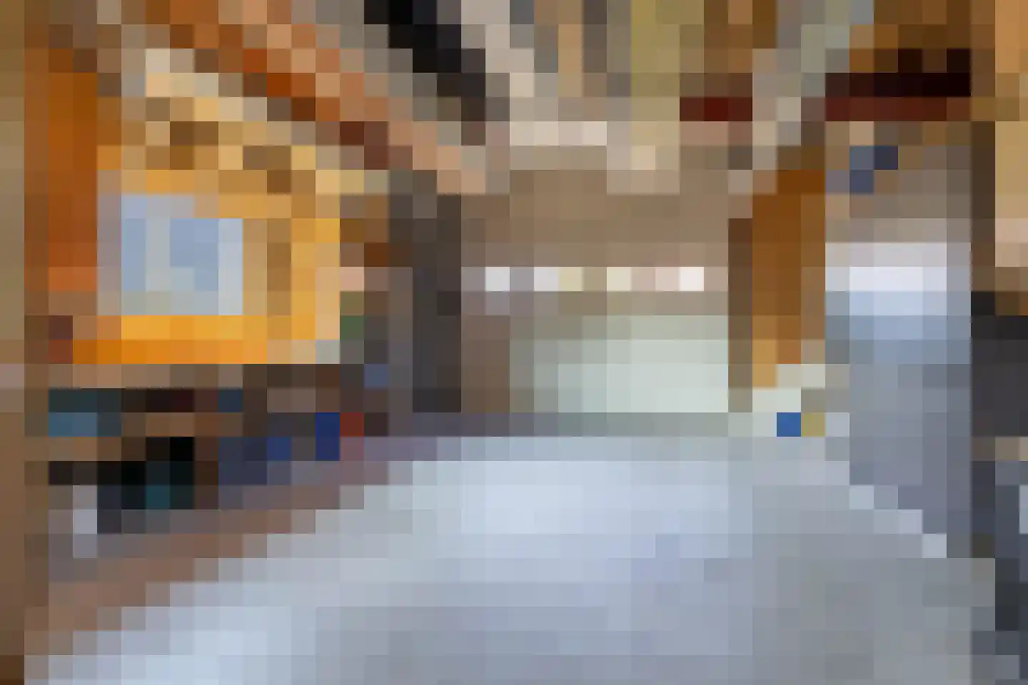 Nij Toerenburg 15 St.-Annaparochie thumbnail 97