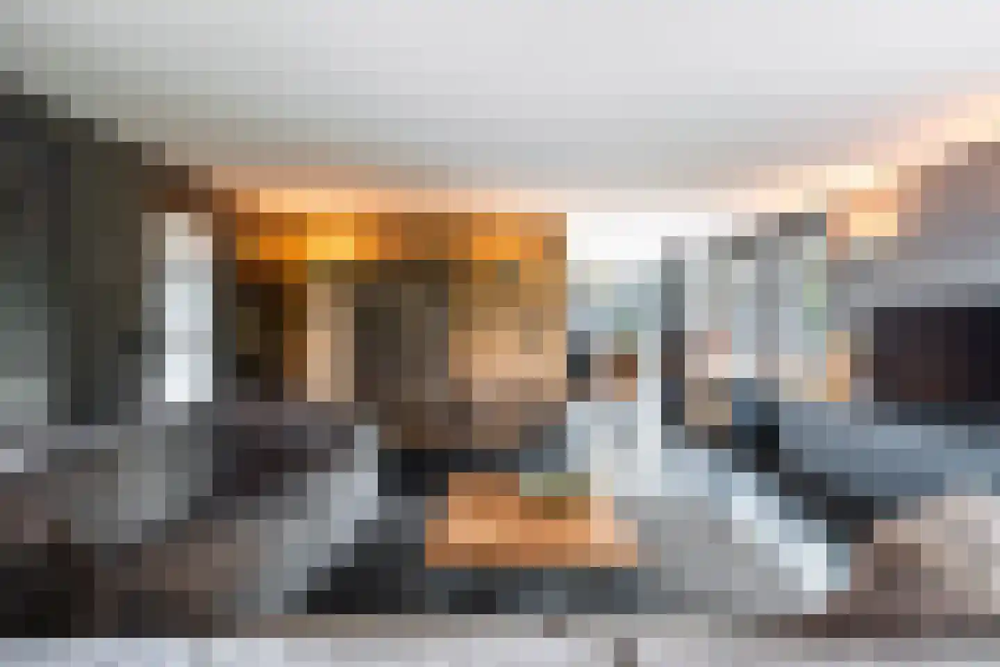 Nij Toerenburg 9 St.-Annaparochie thumbnail 16