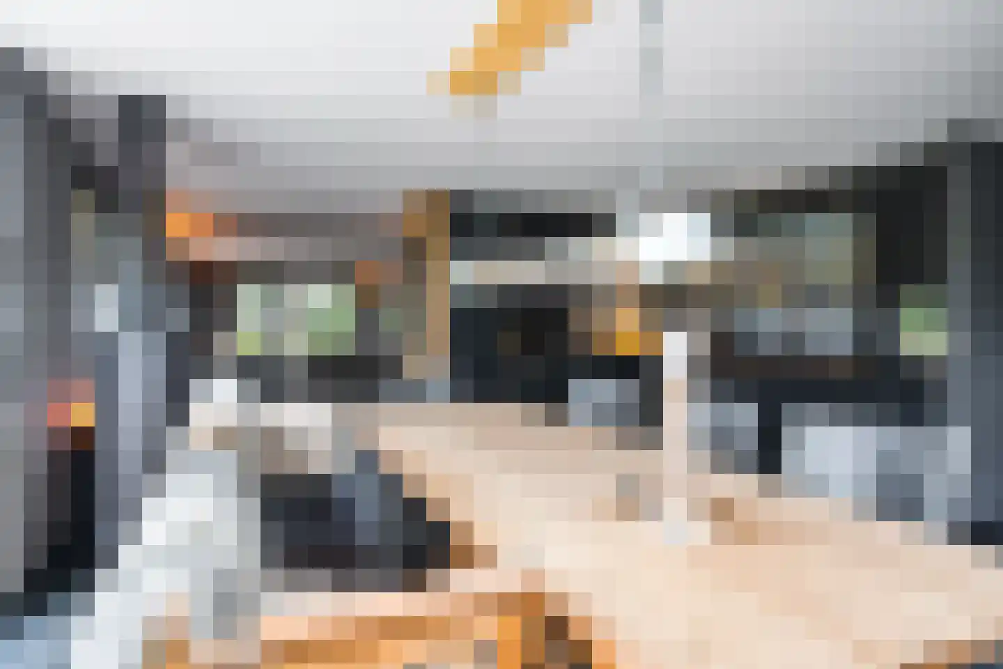Nij Toerenburg 9 St.-Annaparochie thumbnail 19