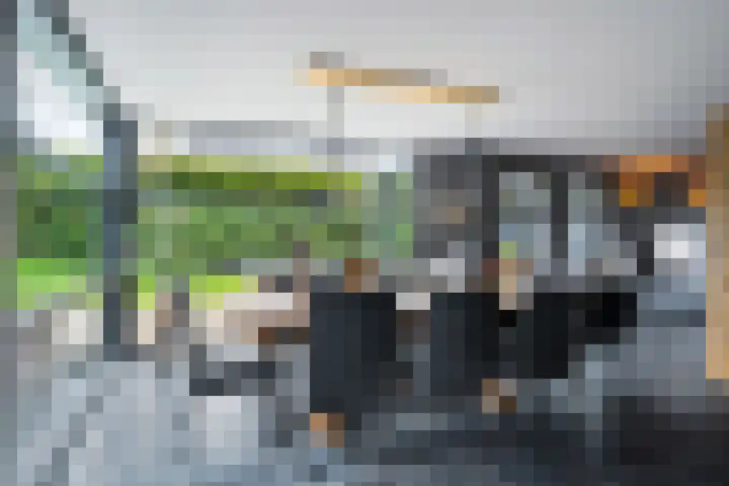 Nij Toerenburg 9 St.-Annaparochie thumbnail 20