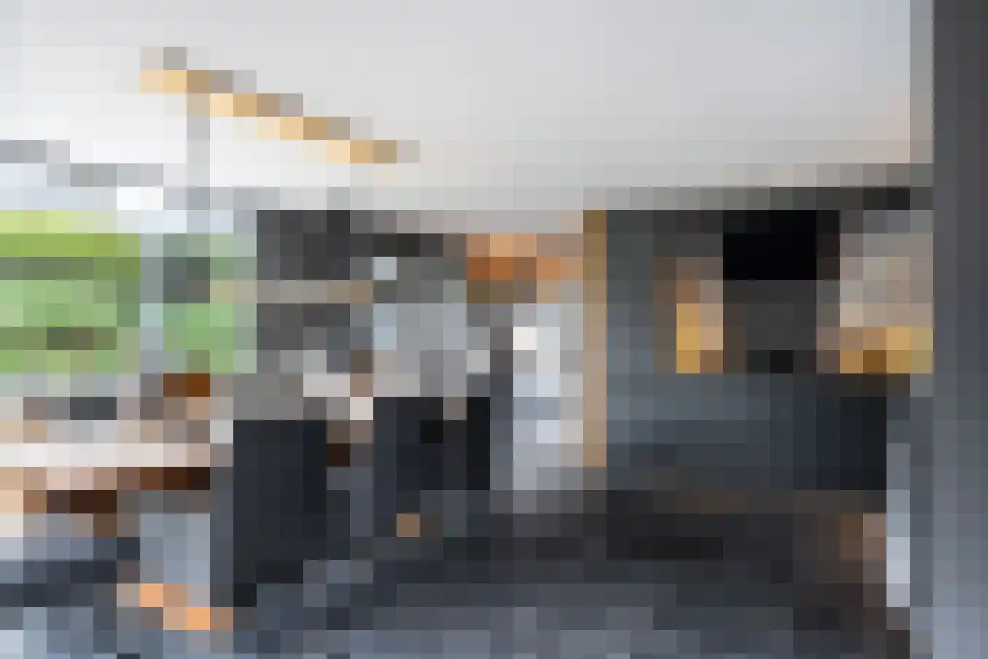 Nij Toerenburg 9 St.-Annaparochie thumbnail 21