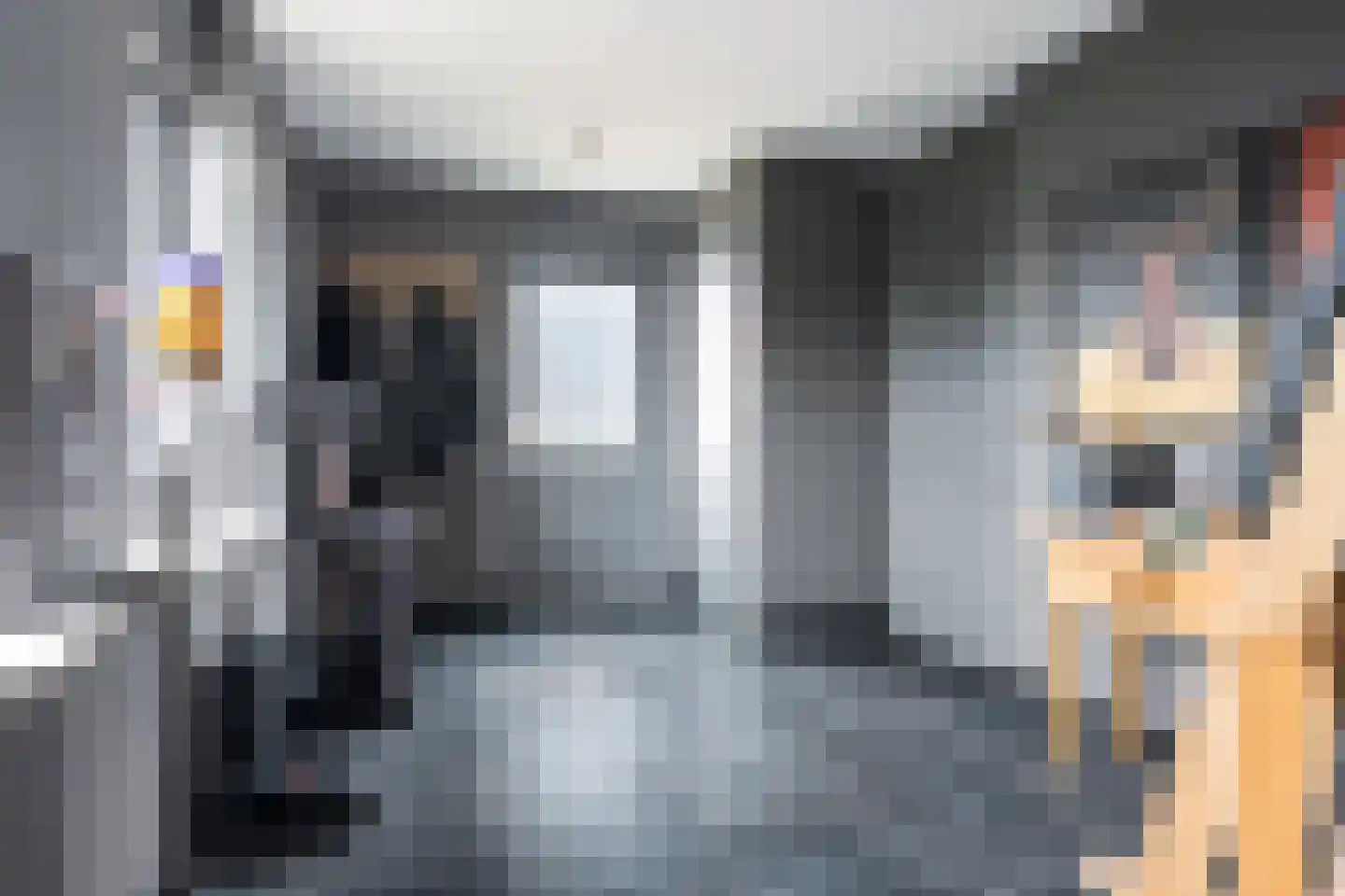 Nij Toerenburg 9 St.-Annaparochie thumbnail 23