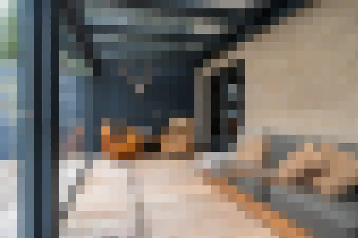 Nij Toerenburg 9 St.-Annaparochie thumbnail 34
