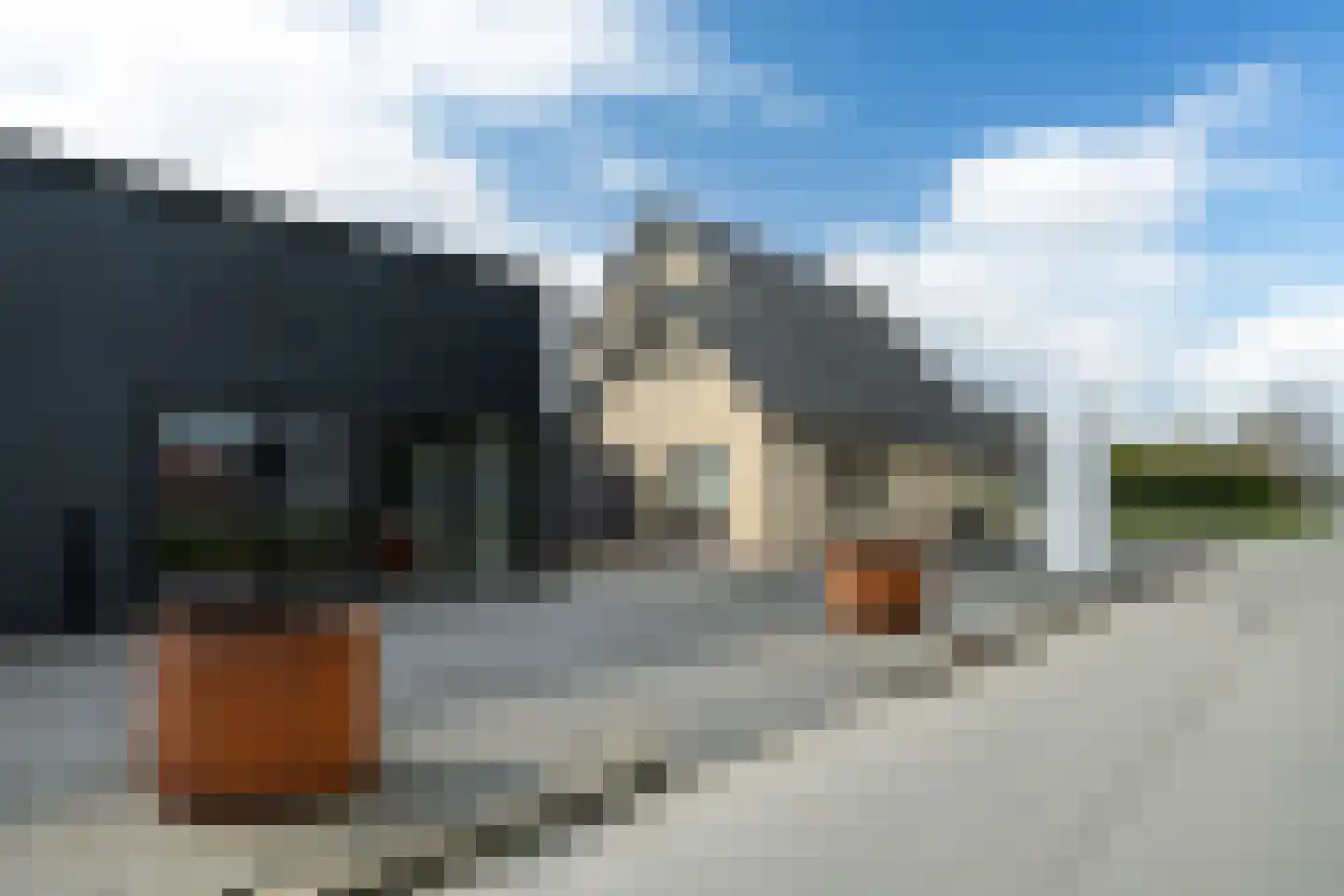 Nij Toerenburg 9 St.-Annaparochie thumbnail 4