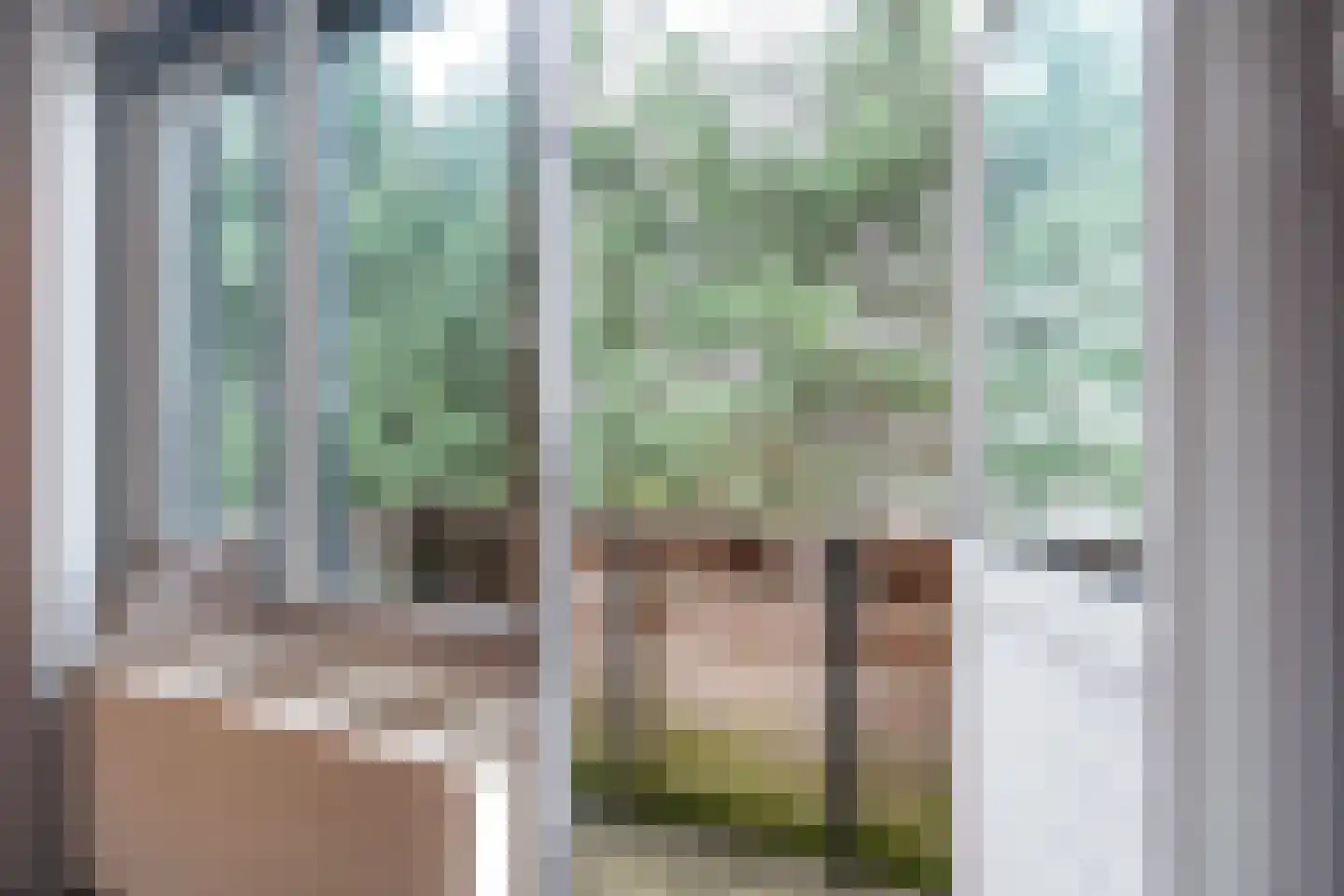 Nij Toerenburg 9 St.-Annaparochie thumbnail 40