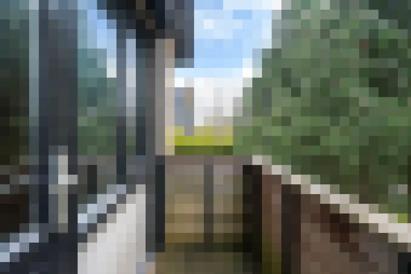 Nij Toerenburg 9 St.-Annaparochie thumbnail 41