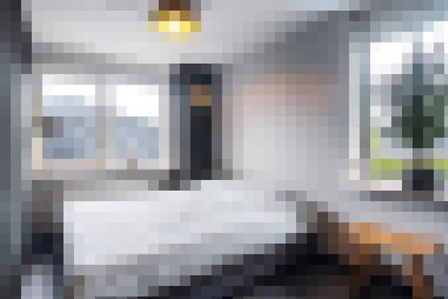 Nij Toerenburg 9 St.-Annaparochie thumbnail 42