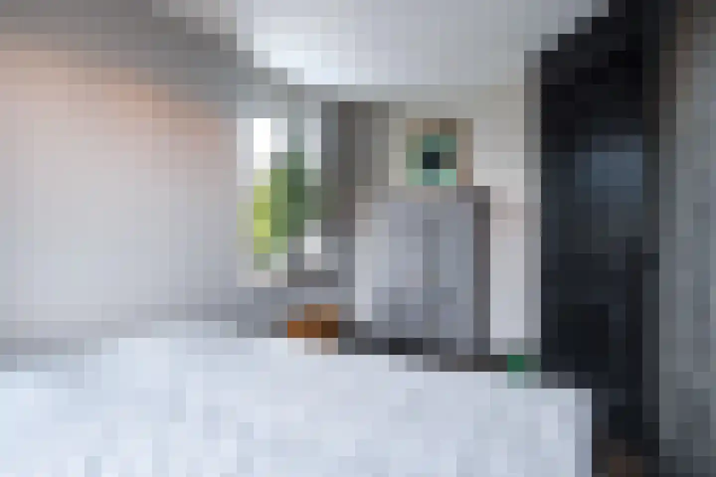 Nij Toerenburg 9 St.-Annaparochie thumbnail 43