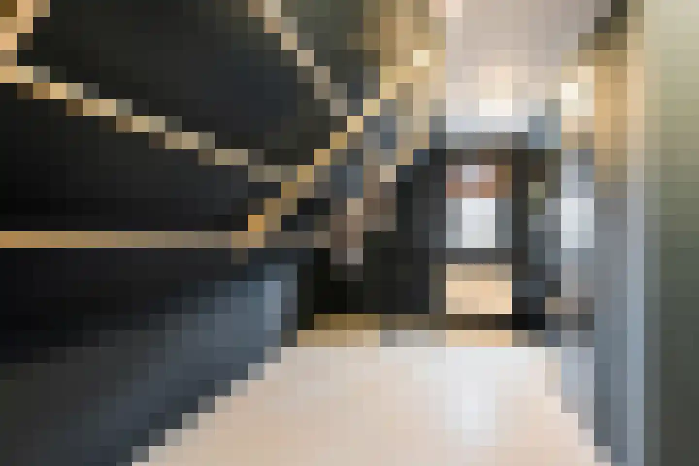 Nij Toerenburg 9 St.-Annaparochie thumbnail 45