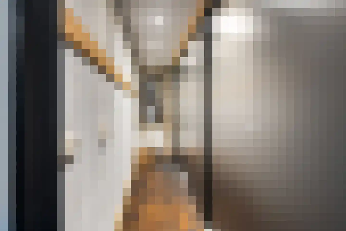 Nij Toerenburg 9 St.-Annaparochie thumbnail 47