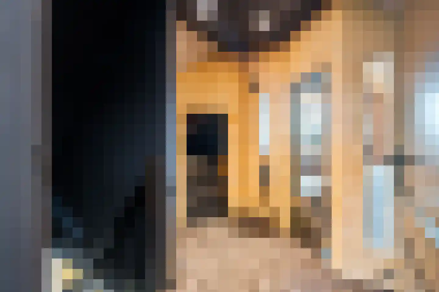 Nij Toerenburg 9 St.-Annaparochie thumbnail 51