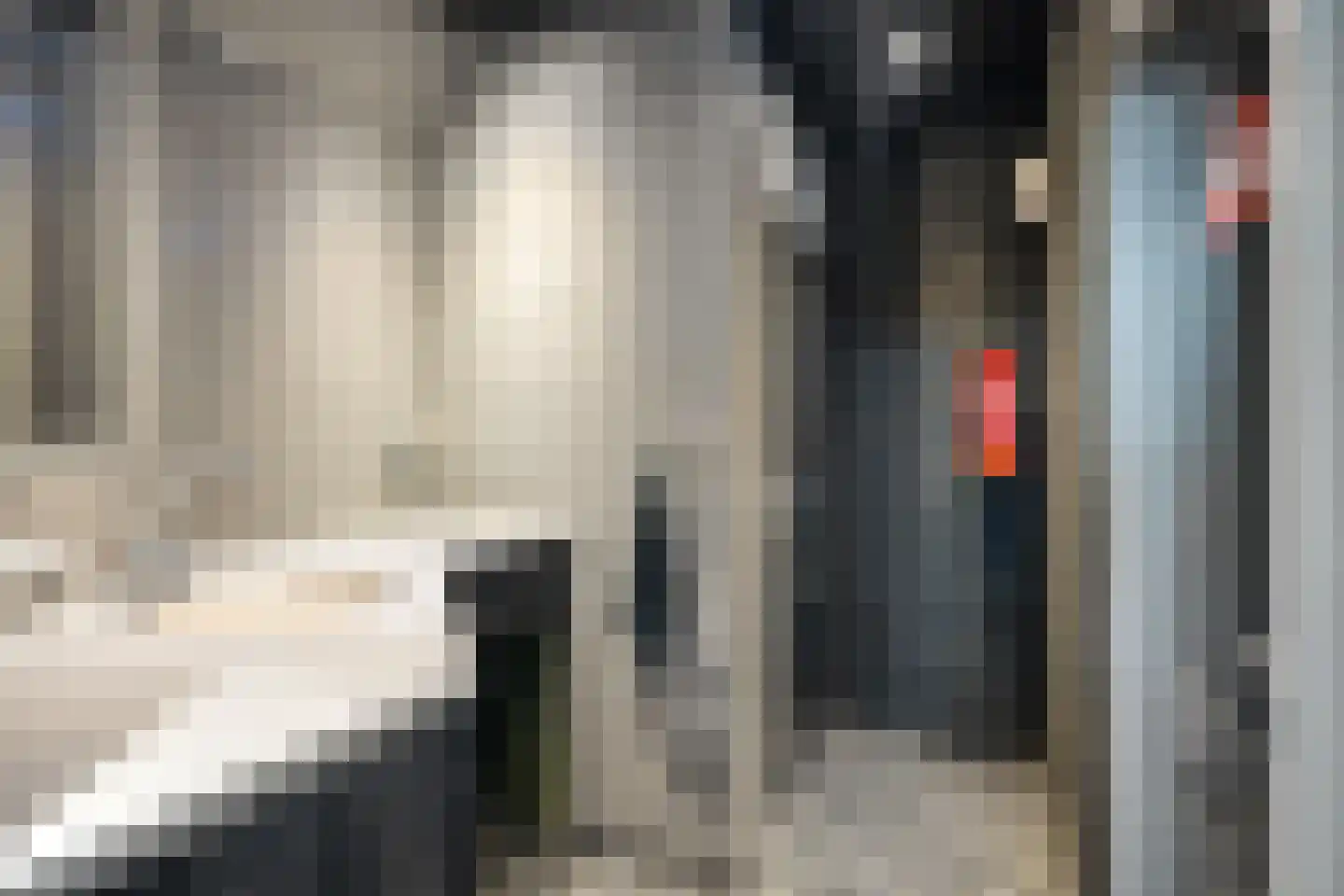 Nij Toerenburg 9 St.-Annaparochie thumbnail 60