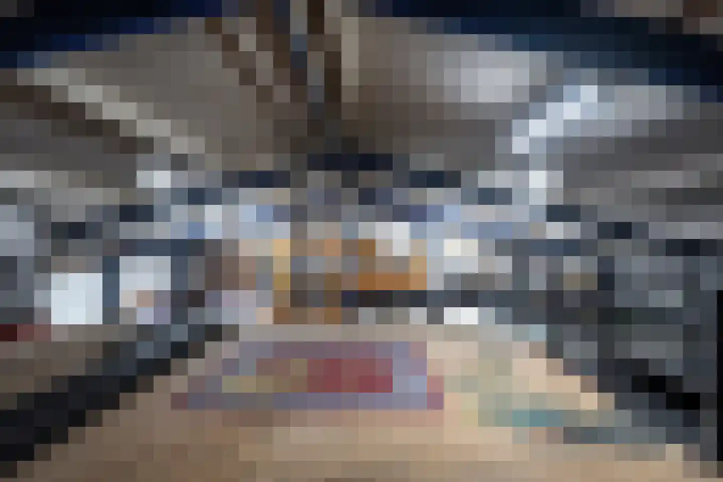 Nij Toerenburg 9 St.-Annaparochie thumbnail 61